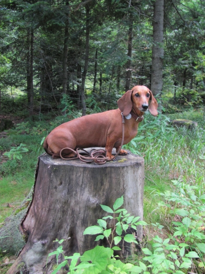 Moje osmiletá modelka...