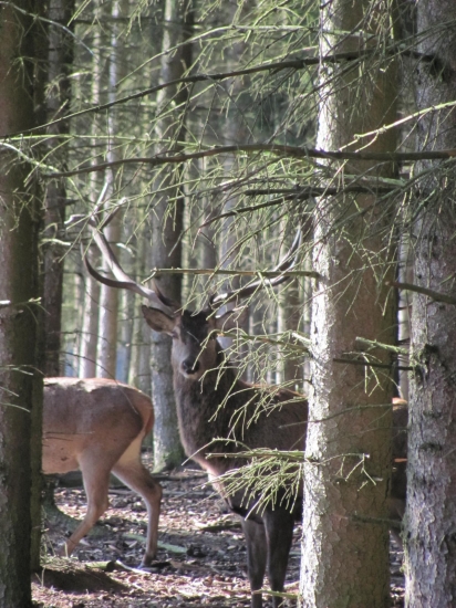 z očí do světel....