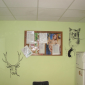 výzdoba kanceláře