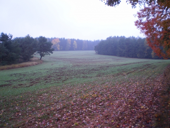 Už se těším na jednání se soukromníkem...