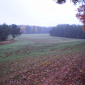 Už se těším na jednání se soukromníkem...