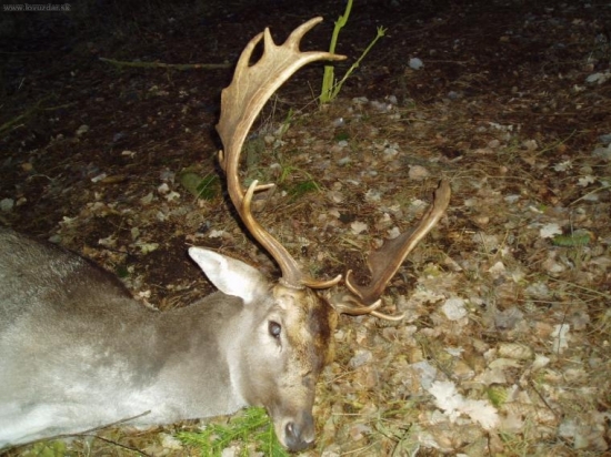 Můj první a po tolika nezdarech doufám že i zasloužený...