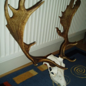 Můj první a po tolika nezdarech doufám že i zasloužený...