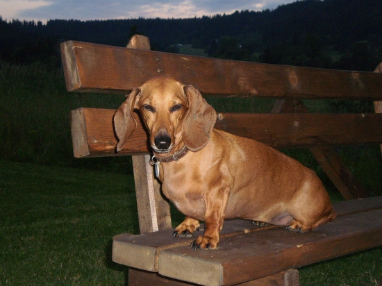 Pojďte už spát...