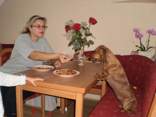 společný nedělní oběd