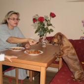 společný nedělní oběd