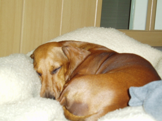 Takhle Alma odpočívá