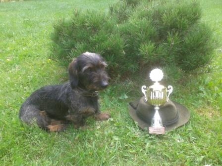 BRIT od Záborského víťaz BL Važec 2012