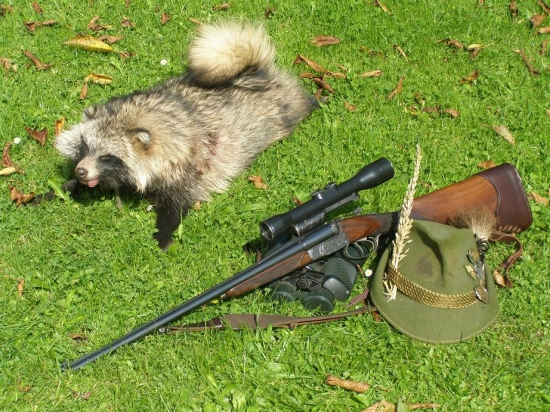 Psík