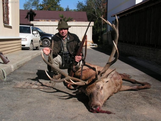 14 ročny 208,89 (ospravedlnujem sa za pozadie inac to neslo, moj host)