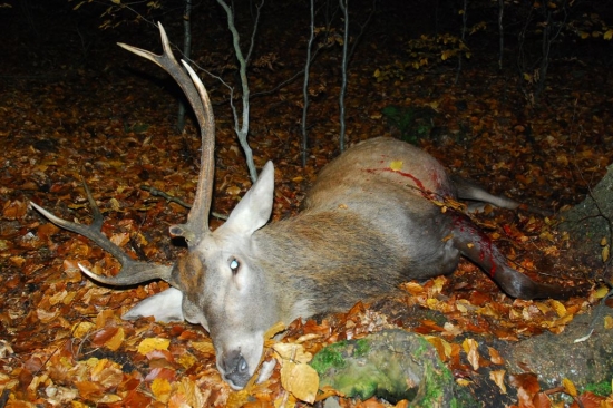 Nikdo mu nehadal 6 let...