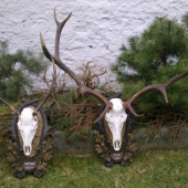 Pripravene na CHPT...