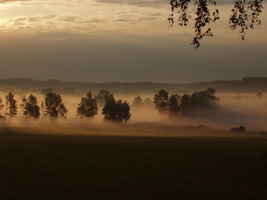 Jednoho rana na jihu Cech...