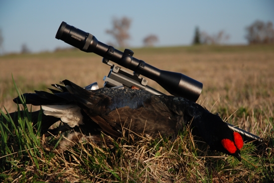 Jeden ze splnenych snu...