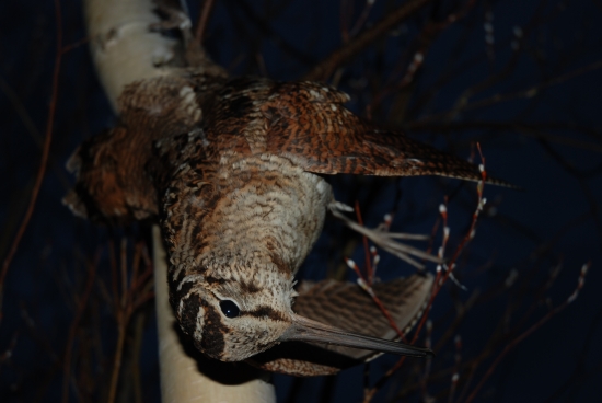 Dalsi splneny sen...