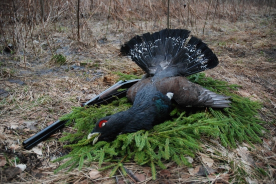 Co dodat? Nemam slov...