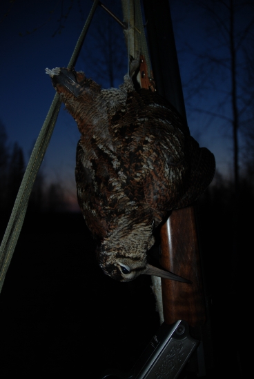 Porad si to v hlave prehravam...