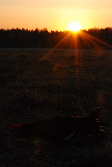 Lovecky uspech na zacatku dne...