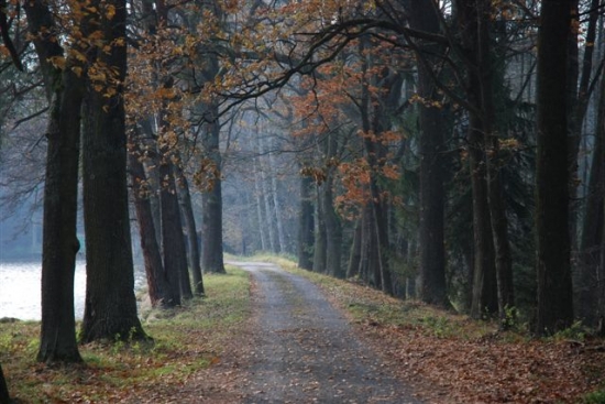 Krasy podzimu - po 14 dnech...