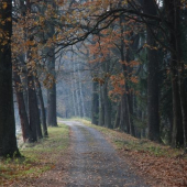 Krasy podzimu - po 14 dnech...