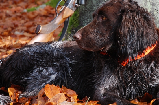 Odpocinek po leci...