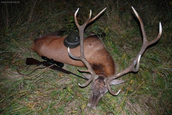 Kdyz Diana s Hubertem preji...