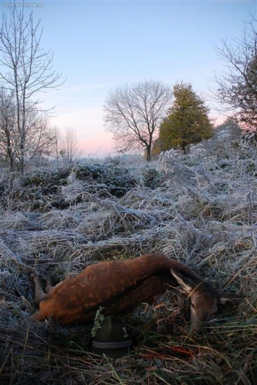Ulovek nadherneho podzimniho rana...