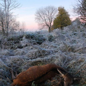 Ulovek nadherneho podzimniho rana...
