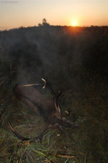 Neco skoncilo, neco zacina...