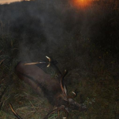 Neco skoncilo, neco zacina...