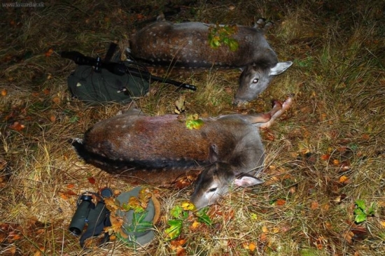 Jednoho podzimniho vecera...