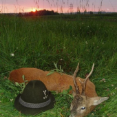 Konec jedne kapitoly...