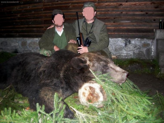 Medved - 430 kg = porovnani