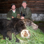 Medved - 430 kg = porovnani