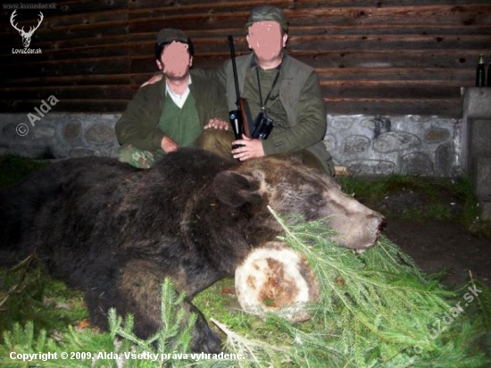 Medved - 430 kg = porovnani