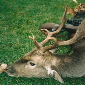 I kdyz pruberny, zajimavy...