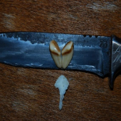 Vzpominka na riji 2008...