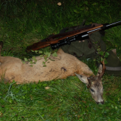 Zivotni nerovny osmerak... (1/2)