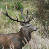 Kdo byl vice prekvapen?