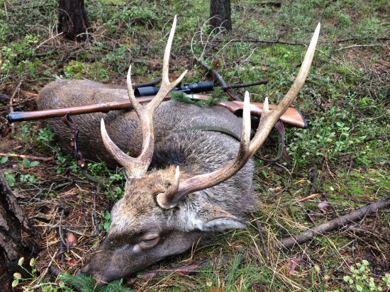 Sika