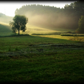 Ráno