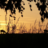 Na pamiatku kamarátke, ktorá to má už za sebou.. Nezabudnem!