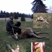 Dohľadávka s Kamošom