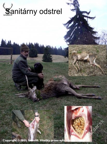 Dohľadávka s Kamošom