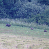 Kazdodenní turisti za dedinou