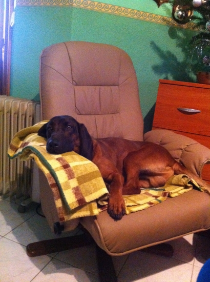 Relax po úspešnej dohľadávke