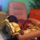Relax po úspešnej dohľadávke