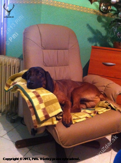 Relax po úspešnej dohľadávke