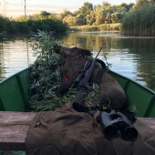 Ranná idylka na Dunaji