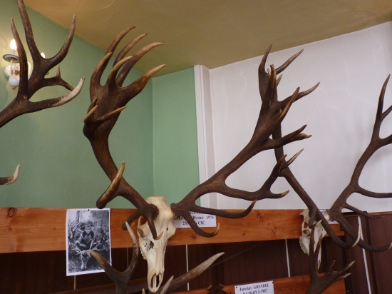 Chovatelská prehliadka-Jelšava